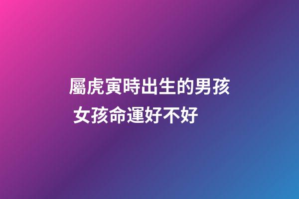 屬虎寅時出生的男孩 女孩命運好不好